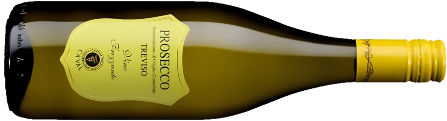 Бутылка Prosecco Treviso Frizzante DOC
