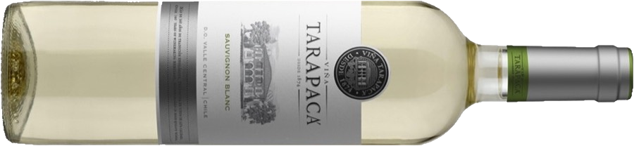 Бутылка Tarapacá Sauvignon Blanc Varietal