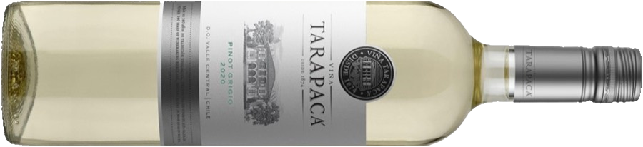 Бутылка Tarapaca Pinot Grigio Varietal