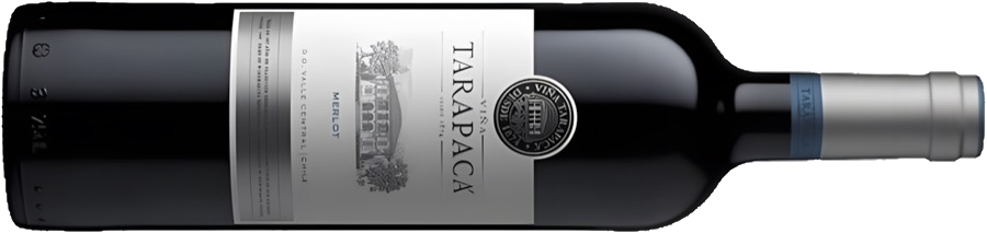 Бутылка Tarapacá Merlot Varietal