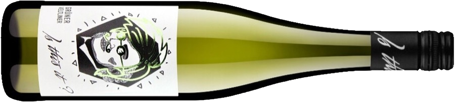 Бутылка Is This It Grüner Veltliner